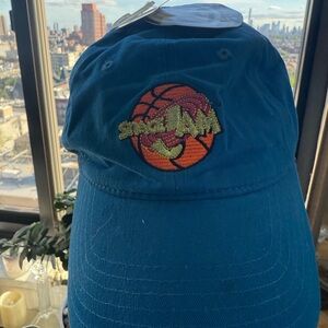 Space Jam Blue Cap
